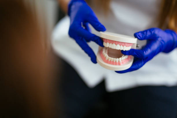 Best Preventive Dentistry  in Canyon Creek, WA